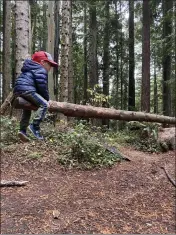  ?? SUBMITTED ?? Pictured is a child out enjoying nature. The Cub Tracks program is built on play, creativity and exploratio­n, inviting nature to be the primary teacher.