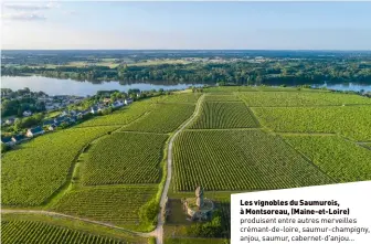  ?? ?? Les vignobles du Saumurois, à Montsoreau, (Maine-et-loire) produisent entre autres merveilles crémant-de-loire, saumur-champigny, anjou, saumur, cabernet-d'anjou…