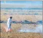  ?? ?? A farmer sets stubble on fire.