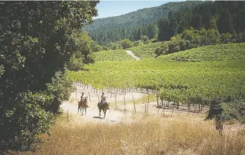  ??  ?? Visitors can explore Sonoma County’s many vineyards by horseback, car, bicycle or tram.