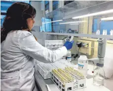  ??  ?? Eine Mitarbeite­rin der Forschungs­firma Decode bereitet Blutproben auf die genetische Untersuchu­ng vor.