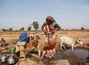  ?? Saumya Khandelwal / New York Times ?? A woman fills water containers at a well in Imlidol in the central Indian state of Madhya Pradesh.