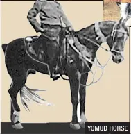  ??  ?? YOMUD HORSE