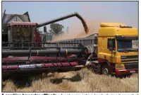  ?? (AP/Tsvangiray­i Mukwazhi) ?? A combine harvester offloads wheat grain into a truck during harvest at a farm in Bindura, near Zimbabwe’s capital Harare, earlier this month.