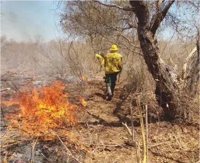  ??  ?? O trabalho de combate ao incêndio mobiliza 77 brigadista­s, 4 aviões Air Tractor e um helicópter­o do Ibama