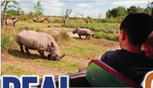  ?? ALLEN EYESTONE / THE PALM BEACH POST 1998 ?? Real animals, authentic excitement: Kilimanjar­oSafaris in Animal Kingdom takes guests on a tour to see African animals.