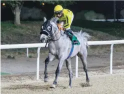  ??  ?? ↑
Kerless Del Roc (FR) ridden by Fernando Jara wins the 9F Al Hili Conditions race 5 at Al Ain on Saturday.