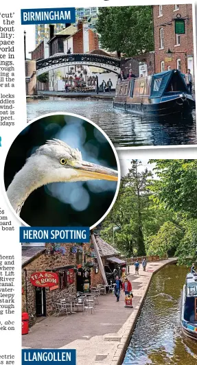  ??  ?? LLANGOLLEN HERON SPOTTING