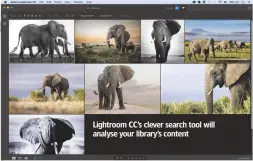  ??  ?? Lightroom CC’s clever search tool will analyse your library’s content