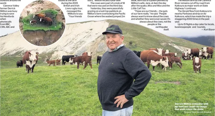  ?? Pictures / Mark Mitchell, Newshub ?? Derrick Millton yesterday with his herd and (inset) the image that went round the globe.