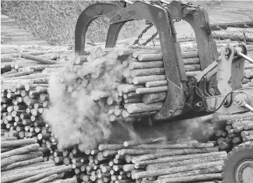  ??  ?? A machine unloads logs for processing at the West Fraser Timber sawmill in Quesnel, British Columbia, Canada, on June 5, 2015.