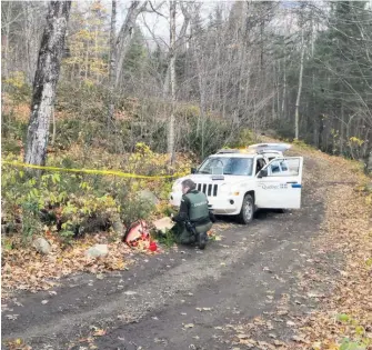  ??  ?? Scène de prélèvemen­t de la preuve et du matériel utilisé par l’enquêteur du ministère des Forêts, de la Faune et des Parcs.