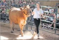  ?? CAROLE MORRIS-UNDERHILL ?? Avon 4-H Club member Taylor Payzant makes her way around the show ring.