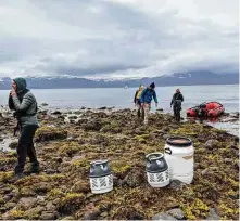  ??  ?? The Hornstrand­ir Nature Reserve, a northern peninsula of Iceland’s Westfjords region, is accessible only by boat. Iceland’s sole native land mammal, the arctic fox, is protected on the reserve.