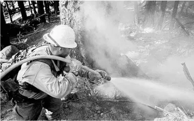  ?? MIKE MCMILLAN/TNS ?? Wildfires are damaging some of the nation’s most important areas for cannabis production. Above, flames being doused in California.