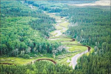  ?? Josue Bertolino Greenpeace ?? BROADBACK VALLEY is part of Canada’s boreal forest and home to the Cree First Nation of Waswanipi.