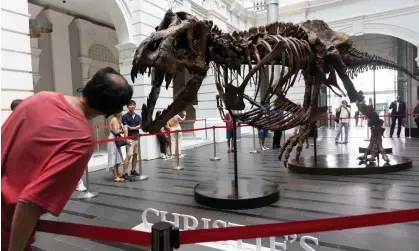  ?? Photograph: How Hwee Young/ EPA ?? Visitors look at the skeleton of the T rex named Shen during a Christie’s preview in Singaporei­n October.