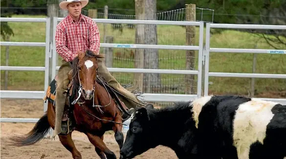  ??  ?? Cutting demos are back at Equidays 2016 after a three year break.