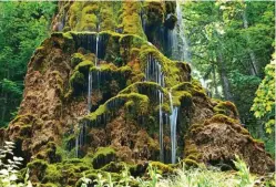  ??  ?? La Réserve naturelle géologique de Haute Provence comprend également de rares trésors aquatiques comme la source pétrifiant­e Saint-Benoît.