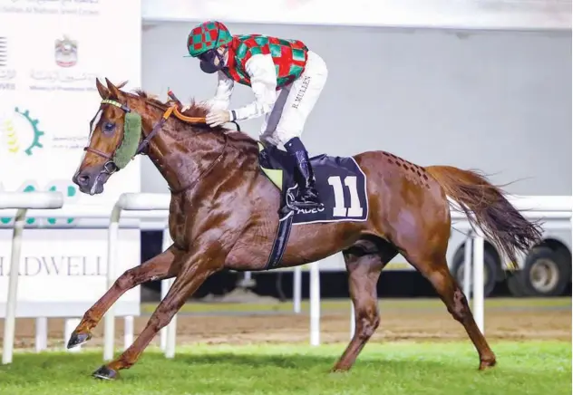  ?? Courtesy: Abu Dhabi Equestrian Club ?? ↑
Richard Mullen astride Somoud wins the Sheikh Zayed Bin Sultan Al Nahyan Prep at Abu Dhabi in November.