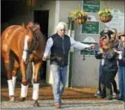  ?? GARRY JONES — ASSOCIATED PRESS ?? Trainer Bob Baffert leads Justify out of Barn 33 at Churchill Downs the morning after winning the 144th Kentucky Derby. Baffert says Justify is doing well after being treated for a bruised heel and is preparing well for the Preakness.