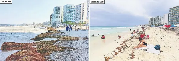  ??  ?? Hace unos días aún se podían ver los volúmenes de alga marina en las playas de Punta Cancún. El agua que se vio ayer fue por las corrientes marinas y la fuerza del viento que se llevaron el alga.