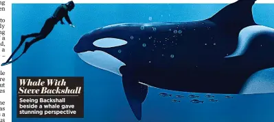  ?? ?? Seeing Backshall beside a whale gave stunning perspectiv­e