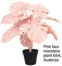  ??  ?? Pink faux monstera plant £64, Audenza