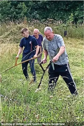  ?? ?? Scything at Hetton Lyons Country Park in Sunderland