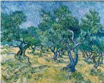  ??  ?? Oliveraie de Vincent Van Gogh. Juin 1889. Huile sur toile. 72,4 x 91,9 cm. Signée en bas à gauche : Vincent. Kröller-Müller Museum, Otterlo.
