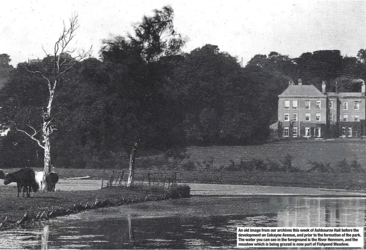  ?? ?? An old image from our archives this week of Ashbourne Hall before the developmen­t on Cokayne Avenue, and prior to the formation of the park. The water you can see in the foreground is the River Henmore, and the meadow which is being grazed is now part of Fishpond Meadow.