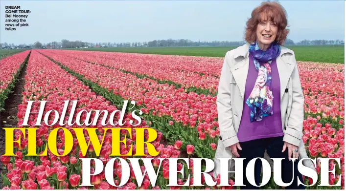  ?? ?? DREAM COME TRUE:
Bel Mooney among the rows of pink tulips