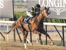  ?? ERA ?? George Buckell guides Far Sky to victory in the Sheikh Hamdan bin Rashid Al Maktoum Cup at Sharjah