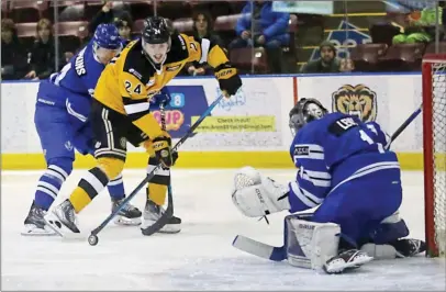  ?? ?? ADRIAN LAM/Victoria Times Colonist
Penticton Vees defenceman Ryan Hopkins and goaltender Hank Levy try to stop Victoria Grizzlies forward Jack Gorton during BCHL action on Saturday night in the provincial capital.