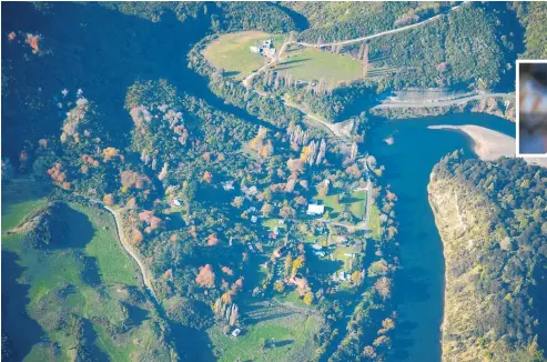  ?? Photo / Paul Brooks ?? The roadmap suggests it will be a while before tourists return in numbers. Hiruharama on the Whanganui River, left, is a popular tourist destinatio­n.