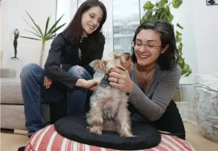  ?? CHARLA JONES FOR THE TORONTO STAR ?? Kerry Weiland, left, and Christina Sorbara did a lot of research before choosing their Yorkshire terrier Pesto.