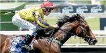  ?? PHOTO: TRISH DUNELL ?? Craig Grylls will wear the familiar O’Sullivan and Scott colours Saturday’s Matamata Breeders aboard Princess Rihanna.