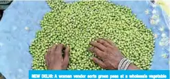  ??  ?? NEW DELHI: A woman vendor sorts green peas at a wholesale vegetable market in New Delhi yesterday.—AFP