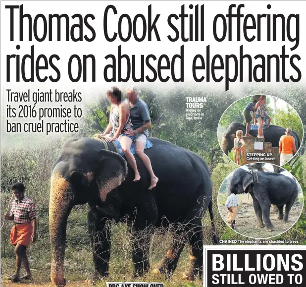  ??  ?? TRAUMA TOURS Riding an elephant in Goa, India STEPPING UP Getting on beast CHAINED The elephants are shackled to trees