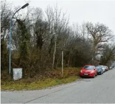  ?? Foto: Thorsten Jordan ?? Dieses ziemlich zugewachse­ne Grundstück an der Ecke zwischen Blumenweg und Straße Am Bahnhof interessie­rt die Gemeinde Geltendorf.