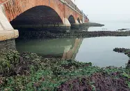  ??  ?? Incrostati Gli archi del Ponte sono pieni di detriti vari