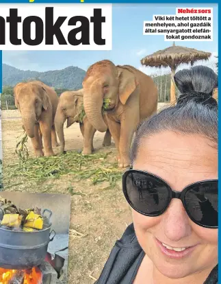  ?? ?? Nehéz sors Viki két hetet töltött a menhelyen, ahol gazdáik által sanyargato­tt elefántoka­t gondoznak