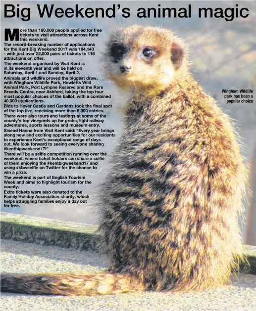  ??  ?? Wingham Wildlife park has been a popular choice