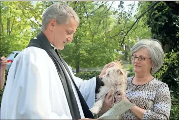  ?? Photos by Diane Wagner, Rome News-Tribune ?? Father John Herring blesses Miss Priss (ABOVE) held by Jan Greene and Dudley (LEFT) held by Gayle Keith during St. Peter’s Episcopal Church’s annual Blessing of the Animals on Sunday in honor of St. Francis. Dudley is a Chihuahua mix, and Miss Priss is a silky schnauzer.