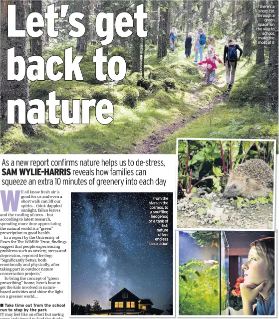  ??  ?? From the stars in the cosmos, to a snuffling hedgehog or a tank of fish – nature offers endless fascinatio­n
If there’s a short cut through a green space on the way to school, make the most of it