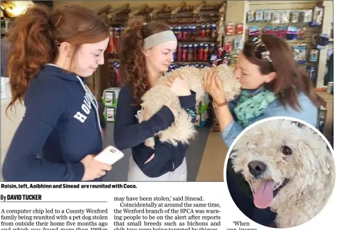  ??  ?? Roisin, left, Aoibhinn and Sinead are reunited with Coco.