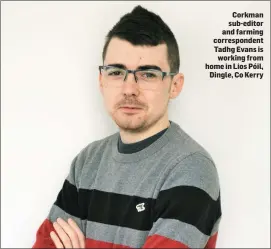  ??  ?? Corkman sub-editor and farming correspond­ent Tadhg Evans is working from home in Lios Póil, Dingle, Co Kerry