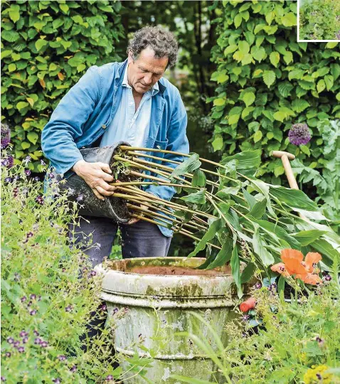  ??  ?? Monty brings his ginger lilies out of storage, planting them in large containers of rich compost, where they’ll be the vibrant centrepiec­es of his displays