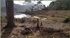  ??  ?? Main image, firefighte­rs work to put of the flames at Eilean Eachainn. Left, some of the damage caused by recent fires lit by wild campers