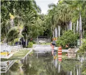  ?? DANIEL A. VARELA dvarela@miamiheral­d.com ?? Floodwater brought in by a king tide covers West Fairview Street in Coconut Grove in September last year.